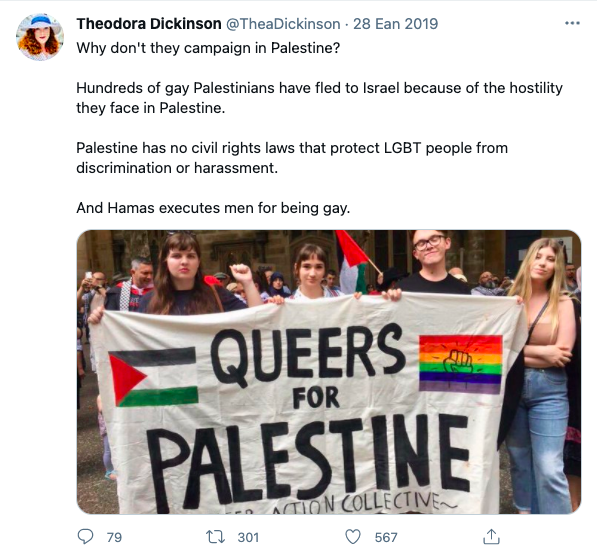 andrew yang queers for palestine