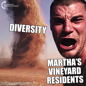 mejores memes diversity