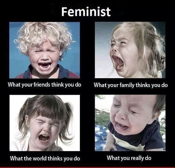 best feminist memes